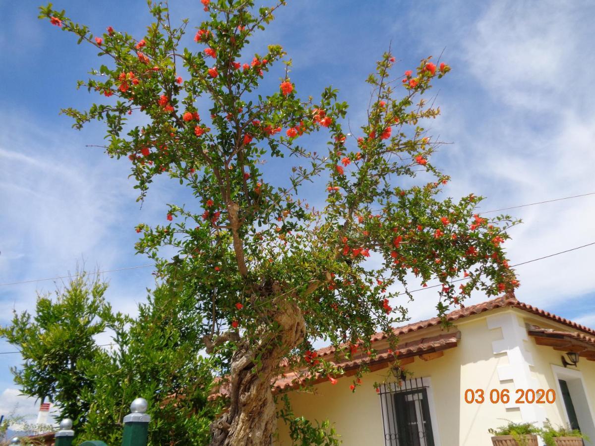 Traditional Guesthouse Asimakis Anifion Luaran gambar